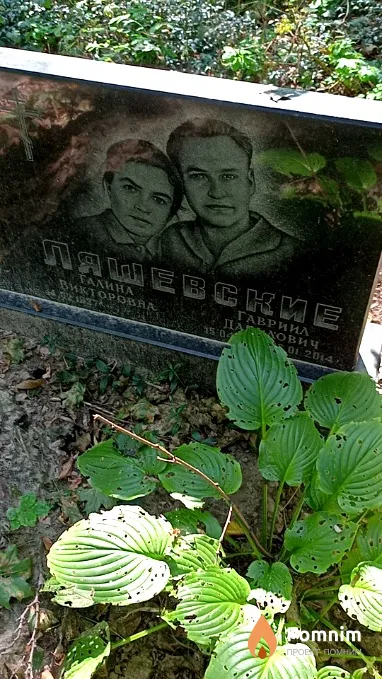 Ляшевская Галина Викторовна