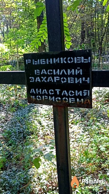 Рыбникова Анастасия Борисовна