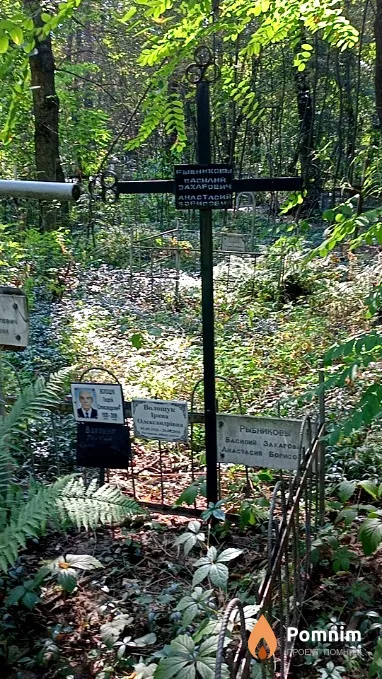 Волощук Ірина Олександрівна