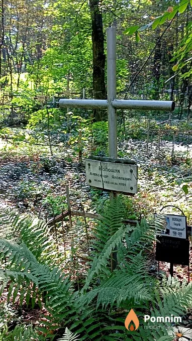 Волощук Александр Яковлевич