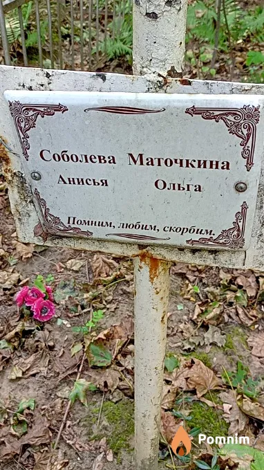 Соболева Анисья