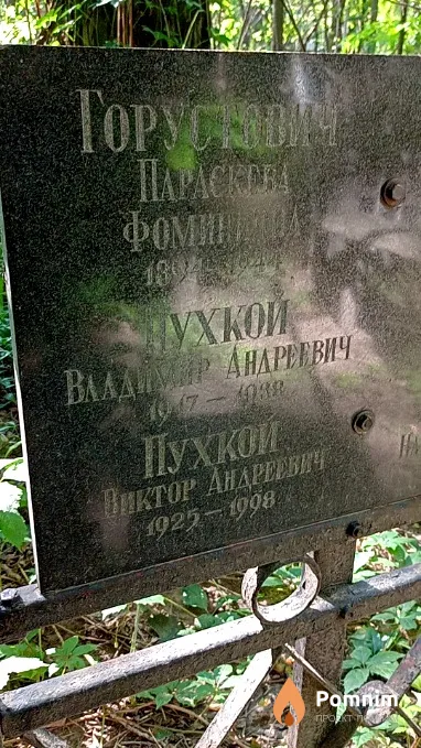 Пухкой Владимир Андреевич