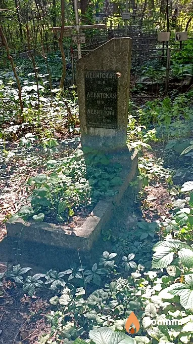 Левитская В К