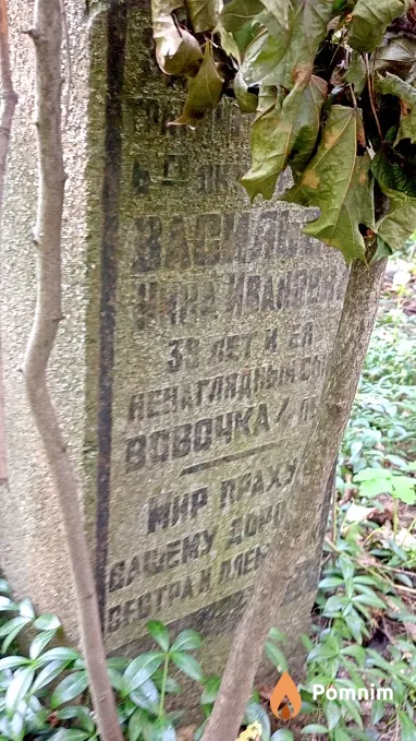 Васильев Владимир