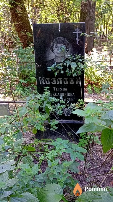 Козлова Татьяна Александровна