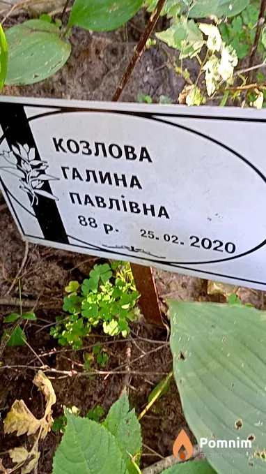 Козлова Галина Павловна