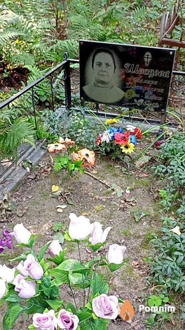 Швецова Тамара Дмитриевна