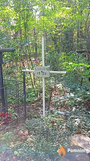 Цыкал А В