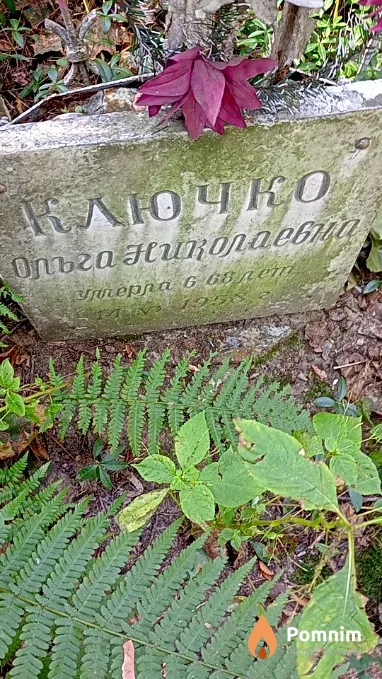 Ключко Ольга Николаевна