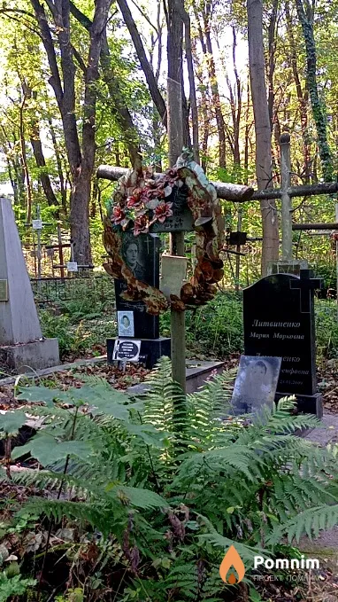 Гаевский Владимир Иванович