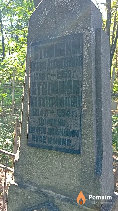 Степанюк Александр Иванович