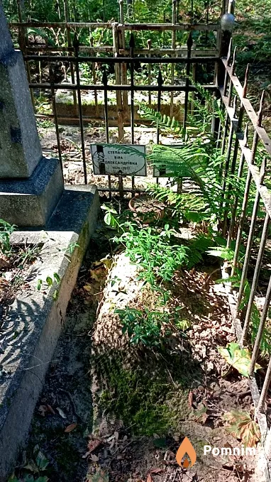 Степанюк Вера Александровна