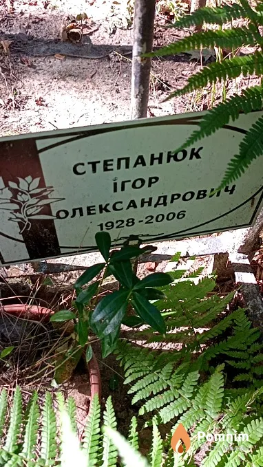 Степанюк Игорь Александрович