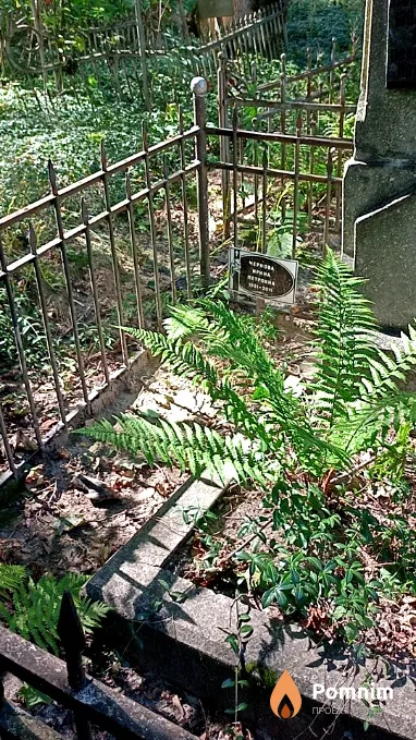 Чернова Ирина Петровна