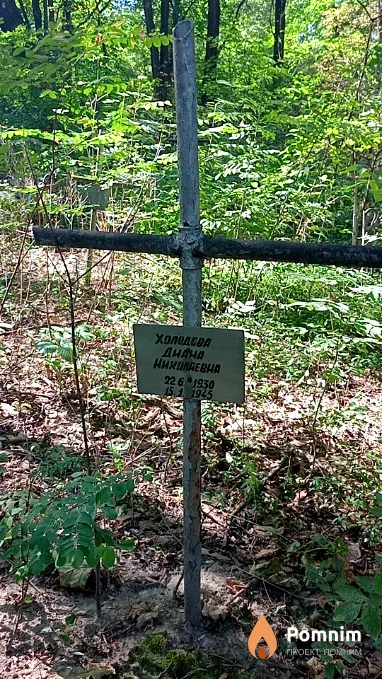 Холодова Диана Николаевна
