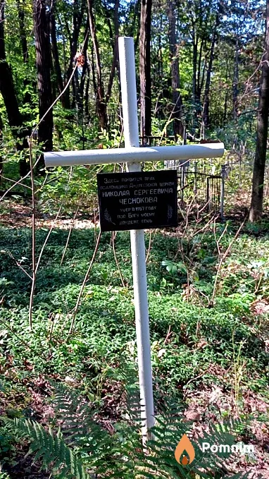 Чесноков Николай Сергеевич