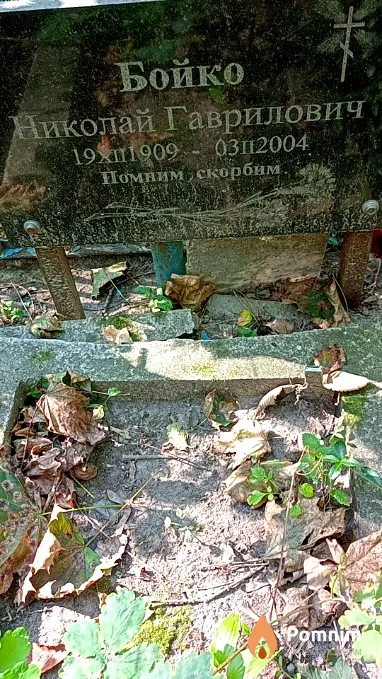 Бойко Николай Гаврилович