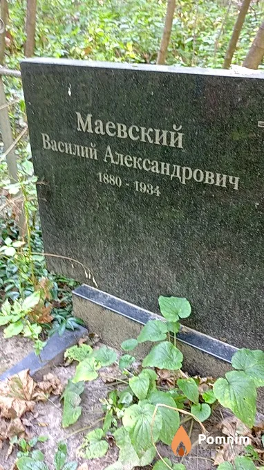Маевский Василий Александрович