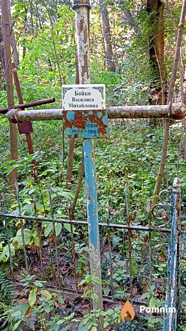 Бойко Василиса Михайловна