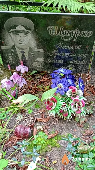 Шнурко Алексей Григорьевич