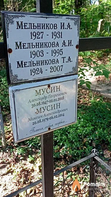Мельникова А И