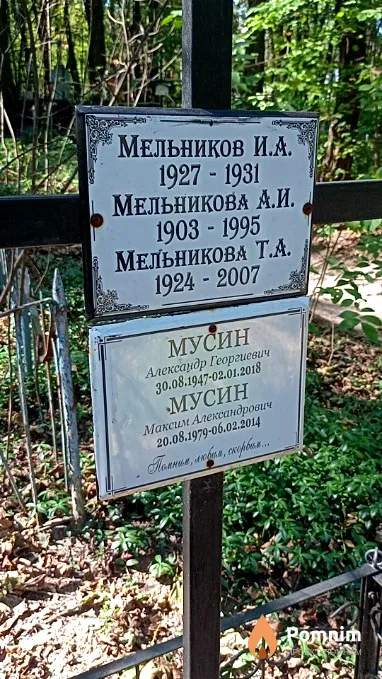 Мусин Александр Георгиевич