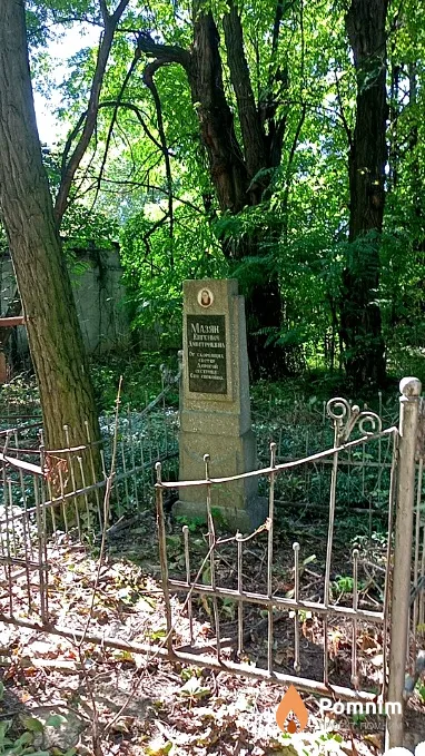 Мазян Евгения Дмитриевна
