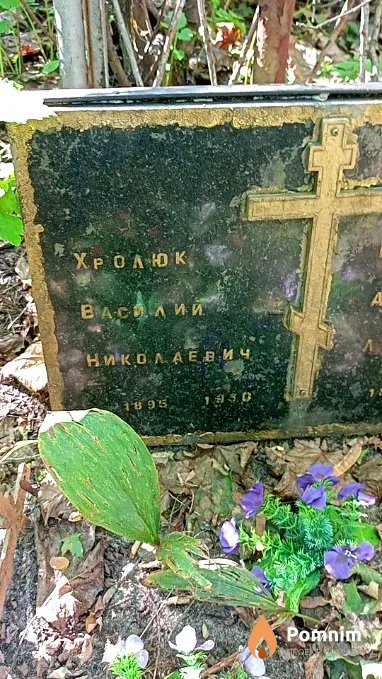 Хролюк Василий Николаевич