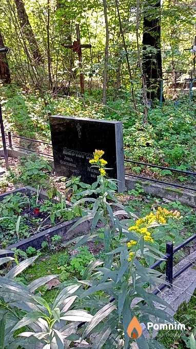 Дерюгина Анна Сергеевна