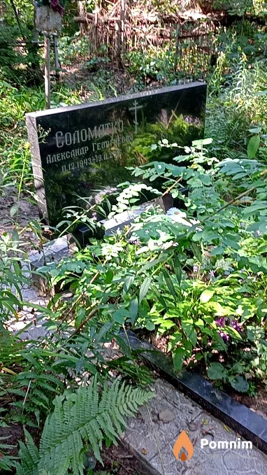 Соломатко Александр Георгиевич