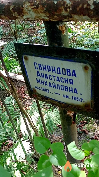 Свиридова Анастасия Михайловна