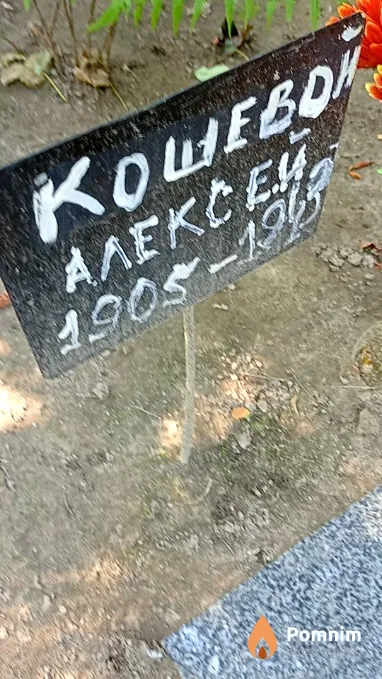 Кошевой Алексеси