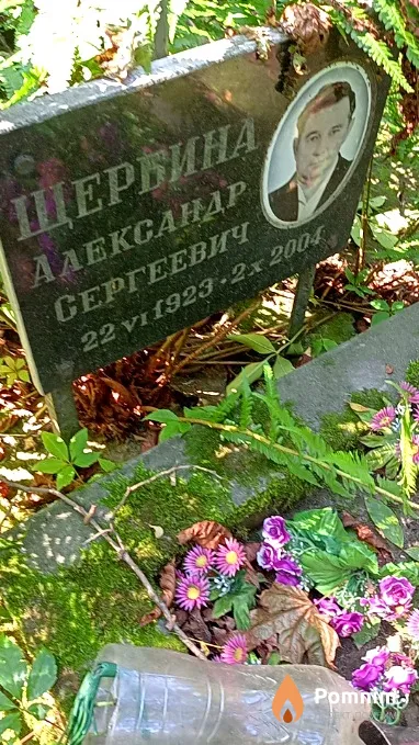 Щербина Александр Сергеевич