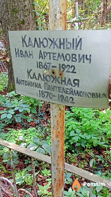 Калюжная Антонина Пантелеймоновна