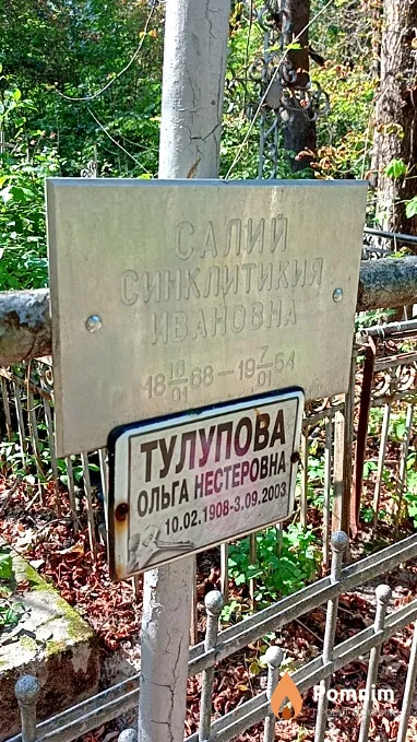 Салий Синклитикия Ивановна