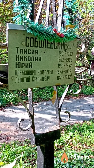 Соболевский Николай