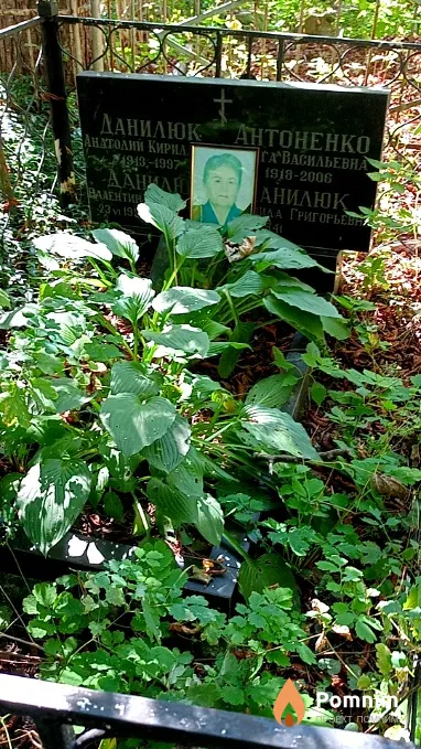 Антоненко Ольга Васильевна
