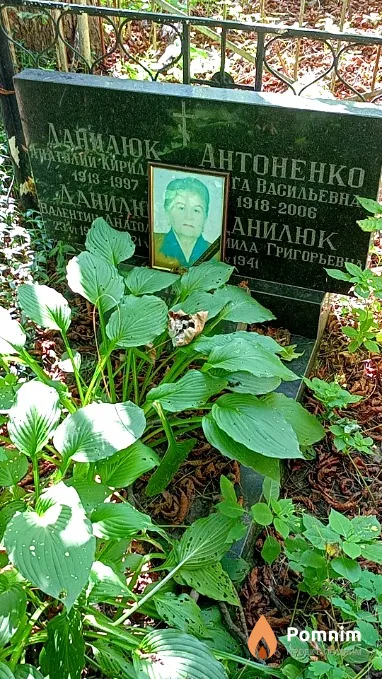 Данилюк Валентин Анатольевич