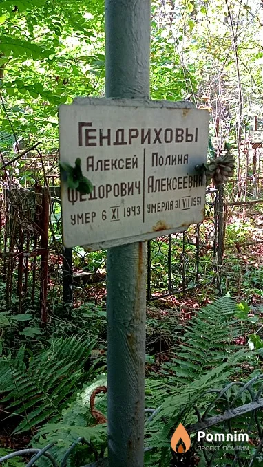 Гендрихова Полина Алексеевна