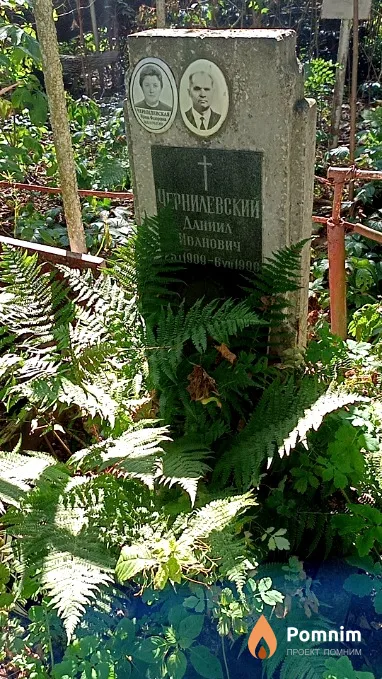 Чернилевская Ирина Федоровна