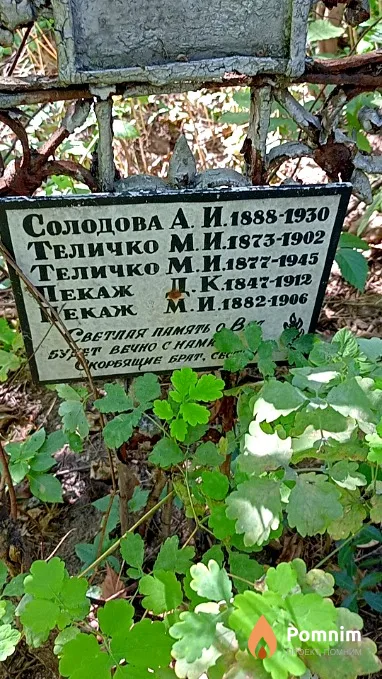 Теличко М И