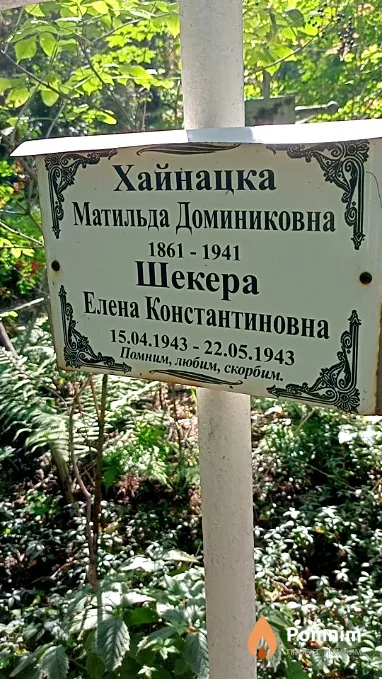 Шекера Елена Константиновна
