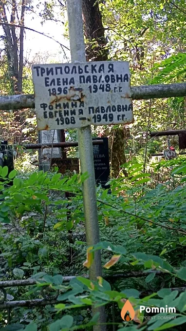 Фомина Евгения Павловна