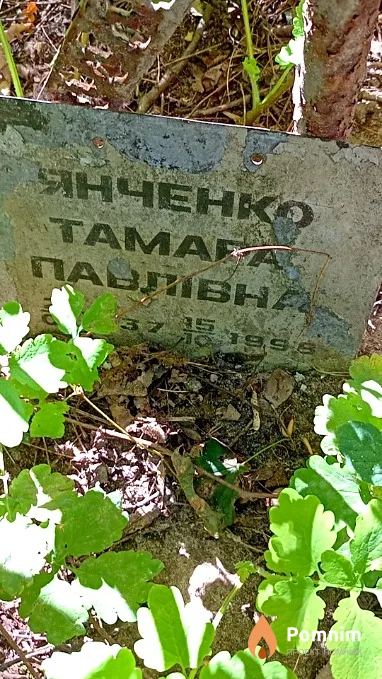 Янченко Тамара Павловна
