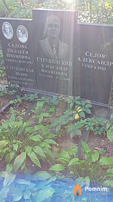 Струцинский Александр Иванович