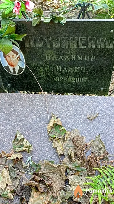 Литвиненко Владимир Иллич