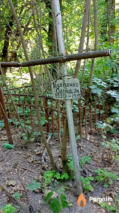 Куличенко Олена М