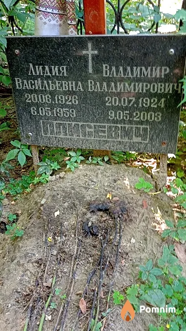 Плисевич Владимир Владимирович