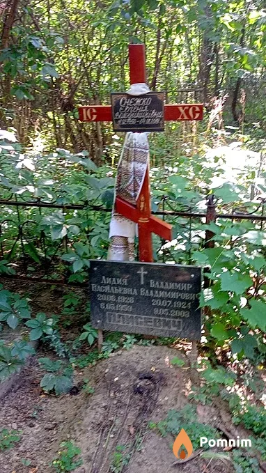 Снежко Евгения Владимировна