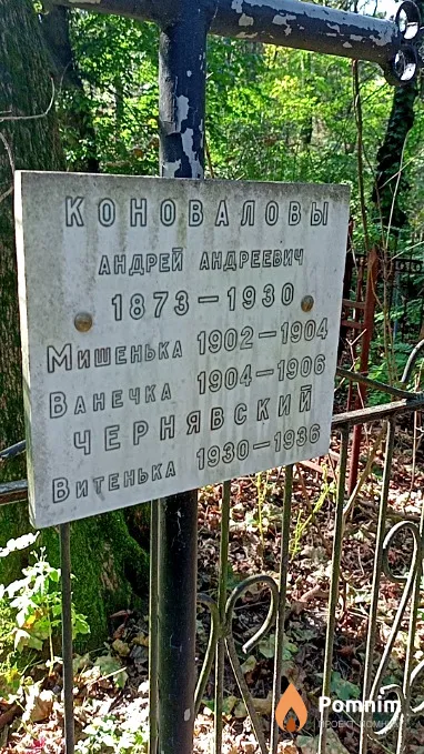 Коновалов Михаил